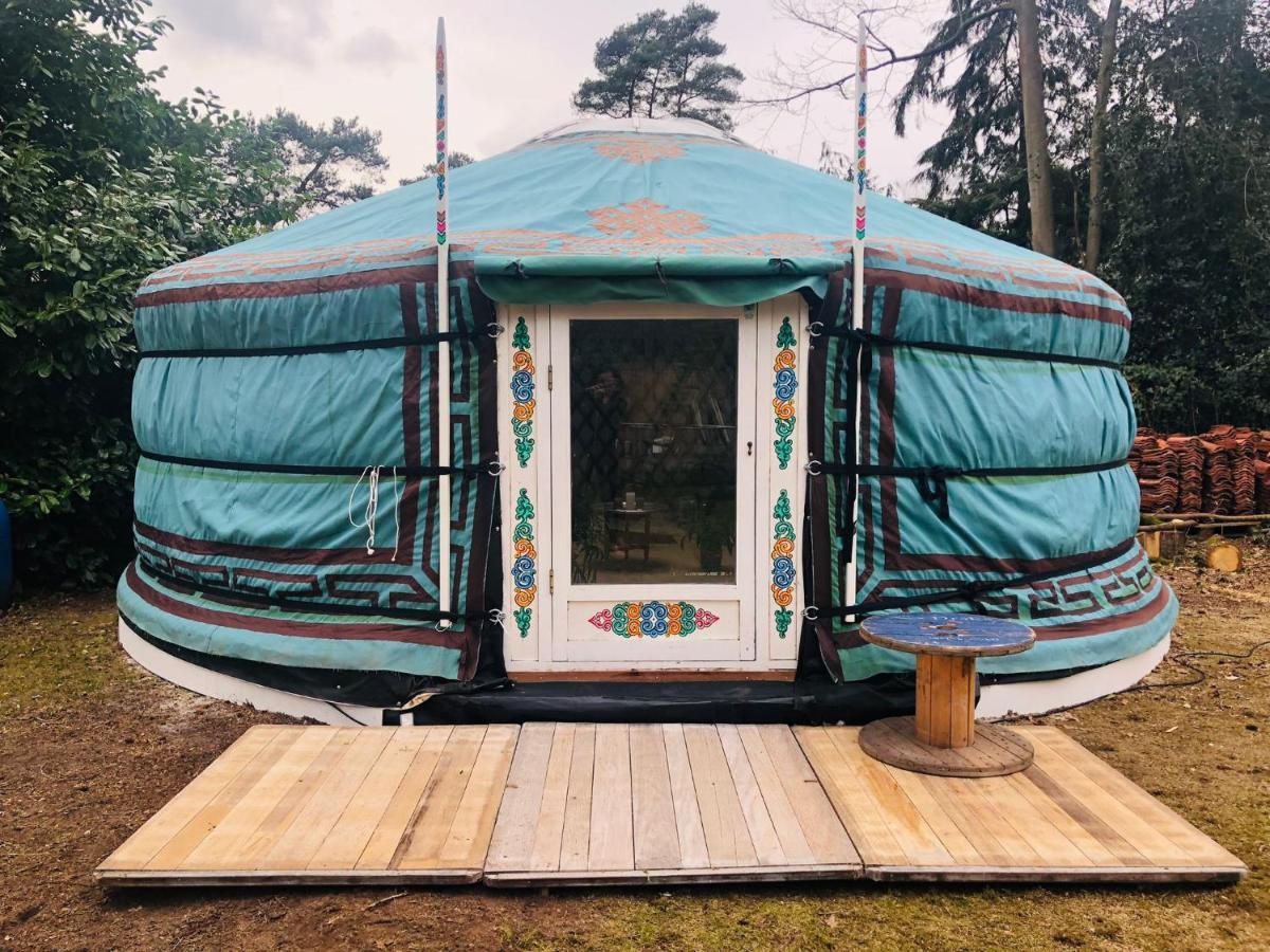 Tiny House 'T Heidehoes In Usselo エンスヘーデ エクステリア 写真
